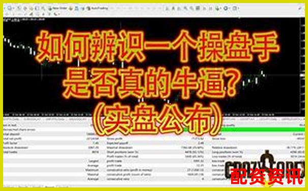 新手到高手都需要看的金匯操盤全維度深度評測指南